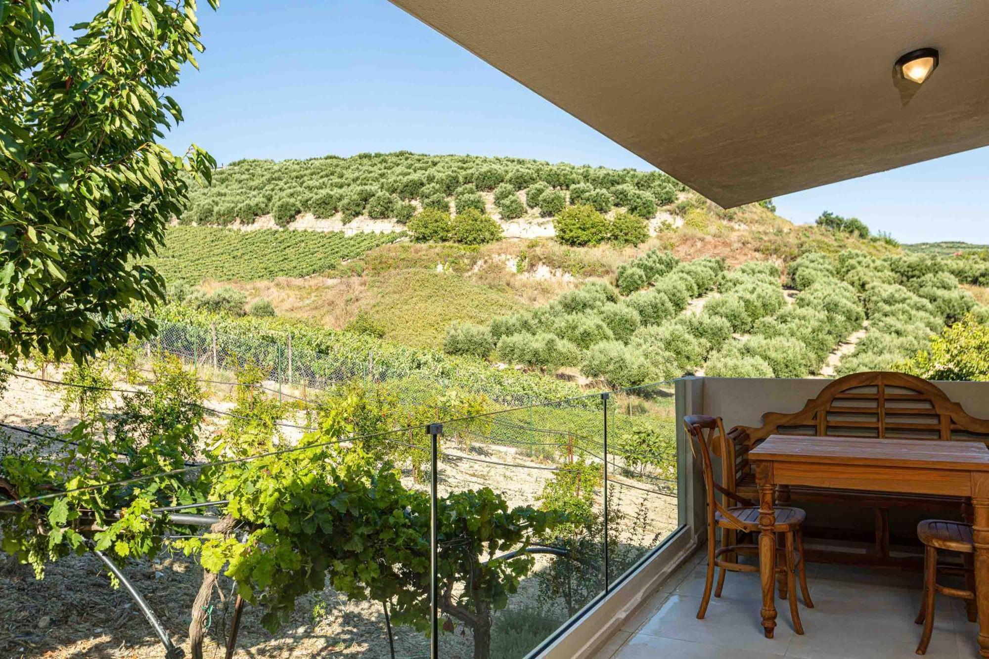 Villa Mantilari Wine Estate 7 Apartments 2 Private Pools 1 Heated Tennis Court Fitness Center Archanes Værelse billede